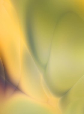 Fraktal güzel bir geçmişi var. Renkli şekilleri ve çizgileri olan havalı bir tasarım. Soyut sanat duvar kâğıdı. İlginç desenli hippi grafik resmi.