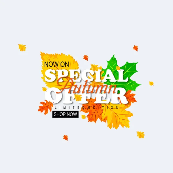 Banner Vorlage Für Herbstverkauf Mit Gelben Blättern Gestaltungselemente Für Plakate — Stockvektor