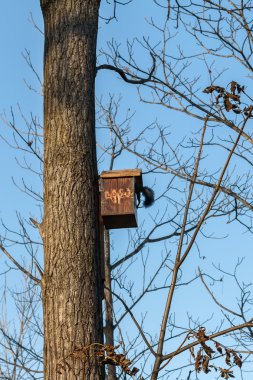 Sincap bir lodge kaybolur