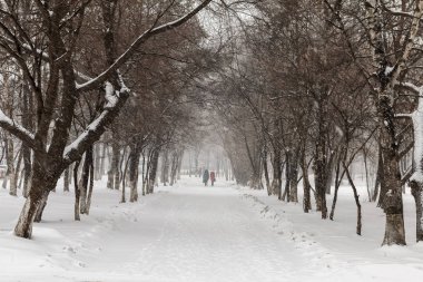 Kasım ayında kar yağışıweather forecast