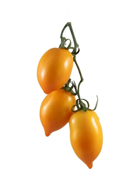 Reife gelbe Tomaten — Stockfoto