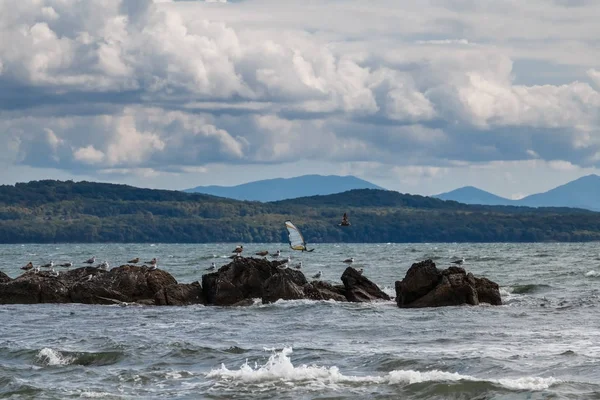 Martılar ile taşlı Adası