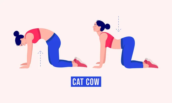 Mädchen Bei Cat Cow Übungen Women Workout Fitness Aerobic Und — Stockvektor