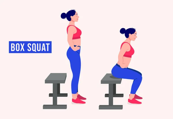 Mädchen Machen Box Squat Women Workout Fitness Aerobic Und Übungen — Stockvektor