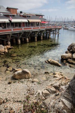 Monterey liman ve marina