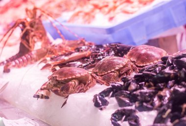 Valencia, İspanya 'da bir pazarda buzdaki yengeçler