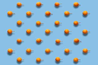 Granadilla ya da granadilla 'nın renkli meyve deseni mavi arka planda tutku meyvesi