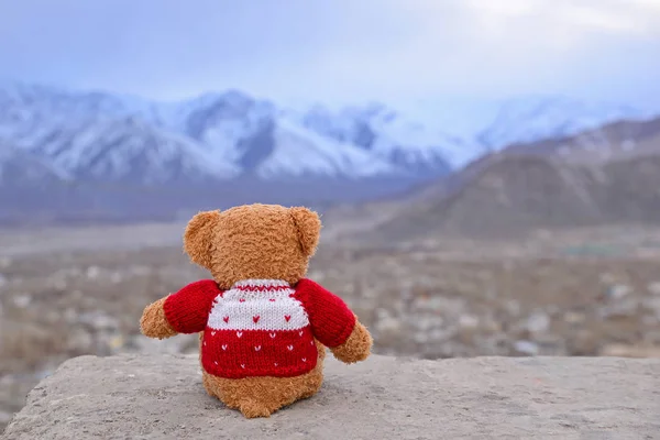 Solitario oso de peluche con suéteres de punto rojo sentado en el ro — Foto de Stock