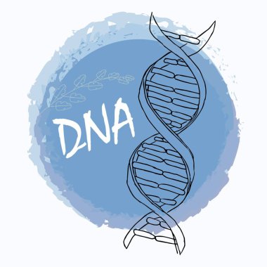 Vektör tasarımında DNA bileşimi. Logo, element el çizimi