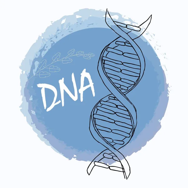 Composición de ADN en el diseño vectorial. Logo, elemento dibujado a mano — Archivo Imágenes Vectoriales