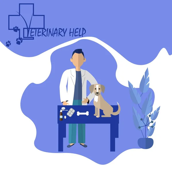 Concepto Moda Ilustración Medicina Veterinaria Médico Veterinario Con Perro Píldoras — Vector de stock