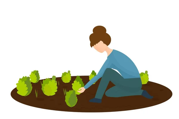 Mujer Arrodillada Trabajando Jardín Con Plantas Hierba Diseño Vectores Ilustración — Vector de stock