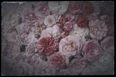 Klasik romantik güller.