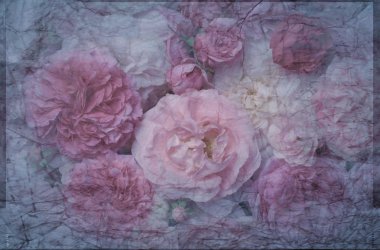 Vintage gül arka plan