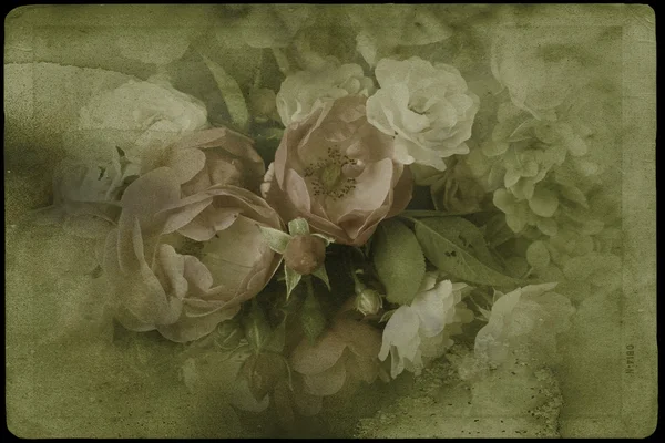 Roses romantiques vintage — Photo