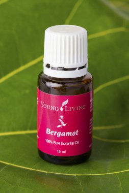  Bergamot uçucu yağ 