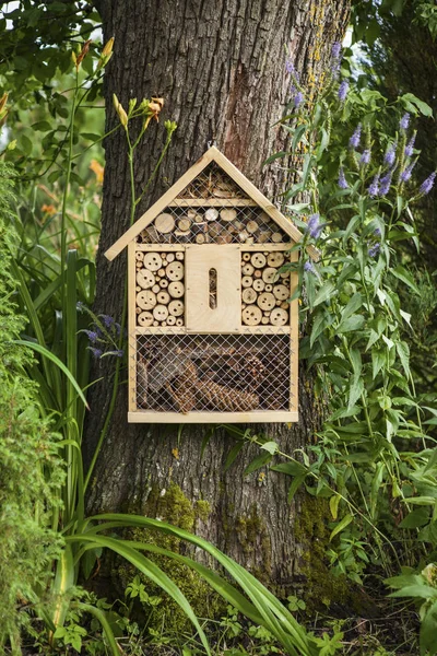 Insektenhaus im Garten — Stockfoto