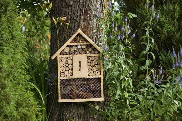 Insekt hus i en trädgård — Stockfoto