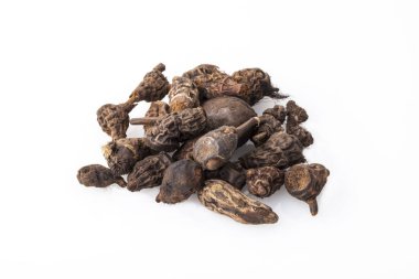 Gowe - Thiouraye (Cyperus articulatus) 