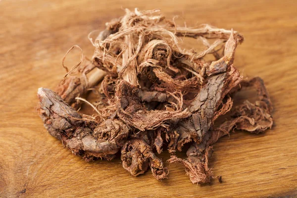 Bear root (Hedysarum neglectum)