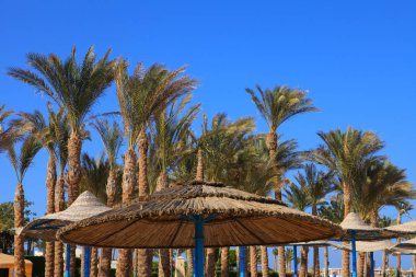 Bağlantı noktası Ghalib Beach'de 