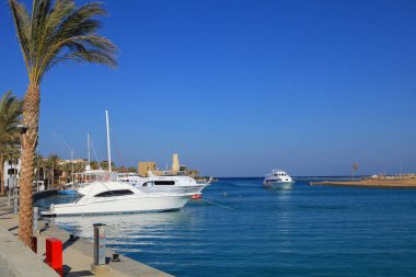  Bağlantı noktası Ghalib, Mısır