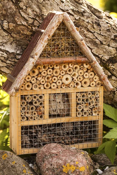 Insektenhaus im Garten — Stockfoto