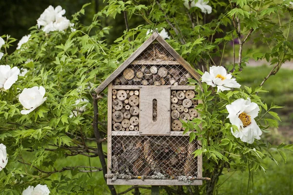 Casa de insetos em um jardim de verão — Fotografia de Stock