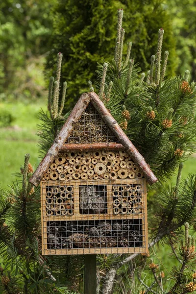 Rumah serangga di taman musim panas — Stok Foto