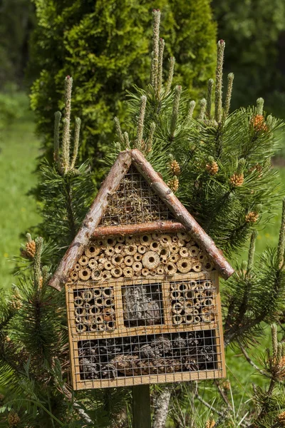Будинок комах в літньому саду — стокове фото