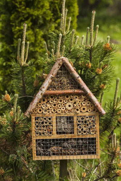 Insecten huis in een zomertuin — Stockfoto