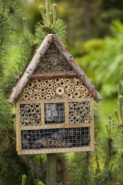 Insektenhaus im Sommergarten — Stockfoto