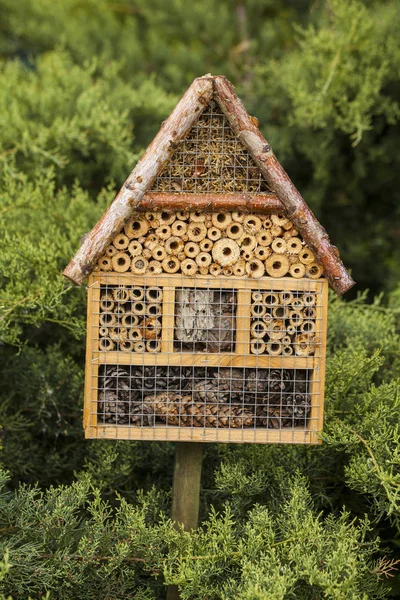 Insekthus i sommerhage – stockfoto