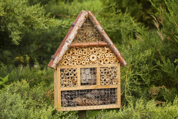 Insecten huis in een zomertuin — Stockfoto