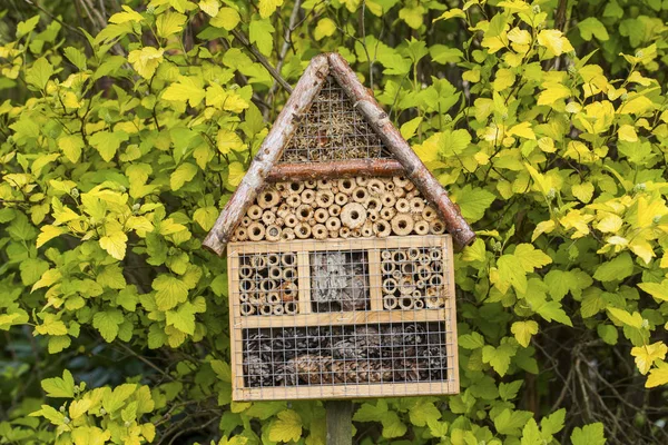 Insektenhaus im Sommergarten — Stockfoto