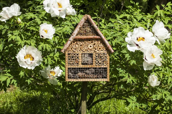 Rumah serangga di taman musim panas — Stok Foto