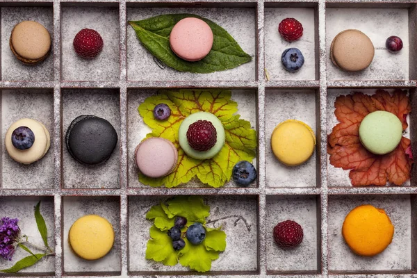 Francia édesség desszert - Makarons — Stock Fotó