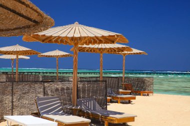 Red Sea Beach. Marsa Alam, Mısır