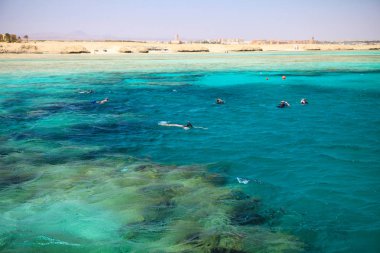 İnsanlar bir güzel mercan resif şnorkel bağlantı noktası Ghalib yakınındaki. Marsa Alam, Mısır