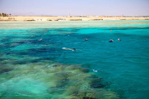 Gente buceando en un hermoso arrecife de coral cerca de Port Ghalib. Marsa Alam, Egipto —  Fotos de Stock