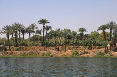 Nil Nehri, Mısır
