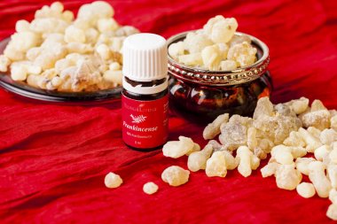 Genç yaşayan Frankincense100% saf esansiyel yağı ve buhur reçine Umman üzerinden