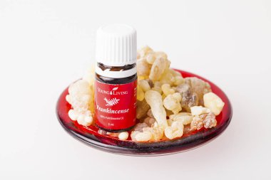 Genç yaşayan Frankincense100% saf esansiyel yağı ve buhur reçine Umman üzerinden