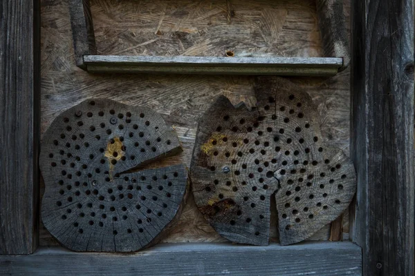 Insect Hotel in een tuin — Stockfoto