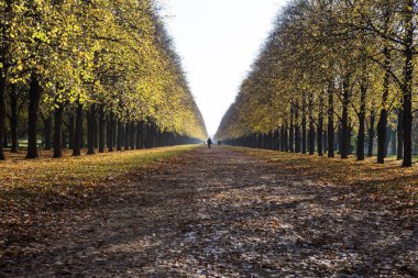  Herrenhausallee in Hannover,