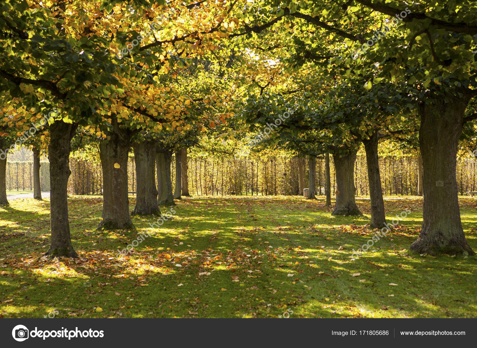 Herrenhausen Gardens In Hannover Stock Editorial Photo C Fotomem