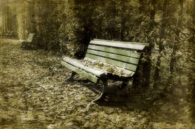 Ahşap bir park benchin