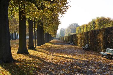 Hannover 'daki Herrenhausen Bahçeleri 