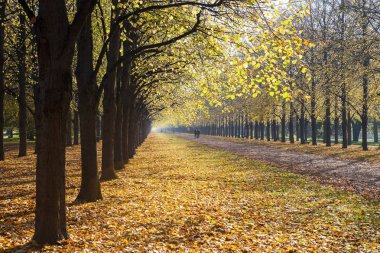 Hannover, Almanya, neredeyse iki kilometrelik Herrenhausallee 1726 şehir ve kale arasında bir bağlantı olarak inşa edilmiş.