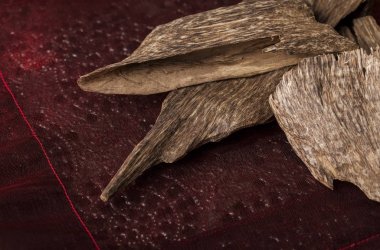 Agarwood, Tayland'dan aloeswood tütsü fiş olarak da bilinir